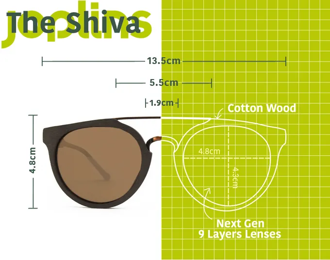 The Shiva Sunglasses