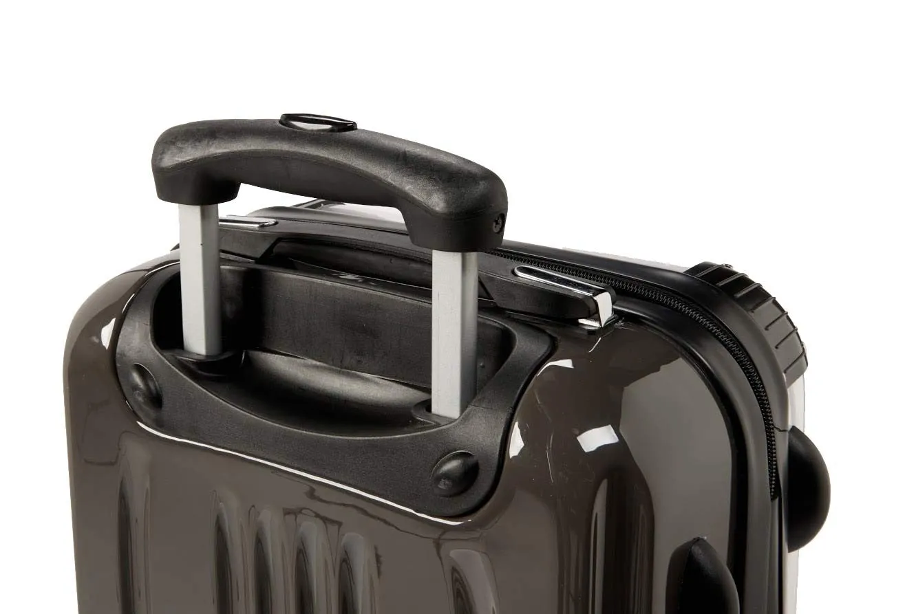 Tortoise Shell Suitcase / Luggage