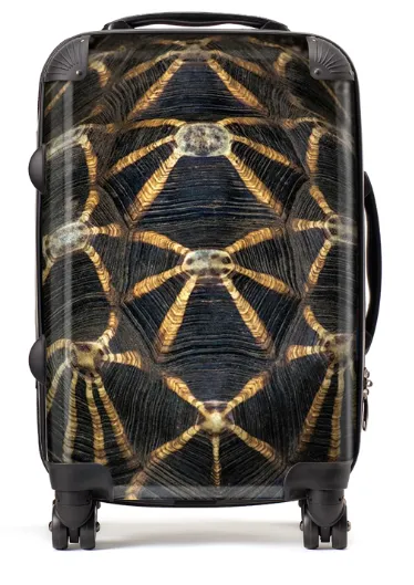 Tortoise Shell Suitcase / Luggage